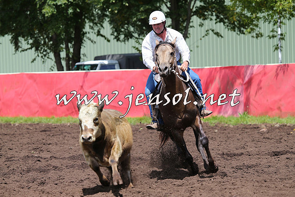 NimmitabelCampdraft2015_0111