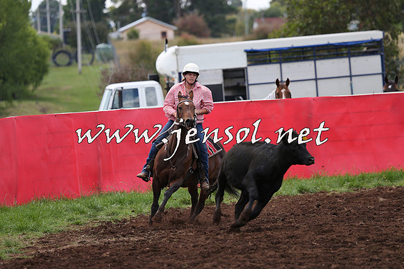 NimmitabelCampdraft2015_0034