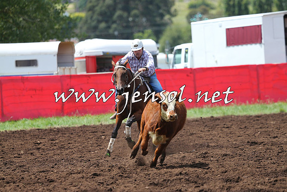 NimmitabelCampdraft2015_0051