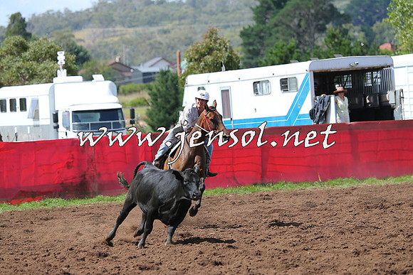 NimmitabelCampdraft2015_0241