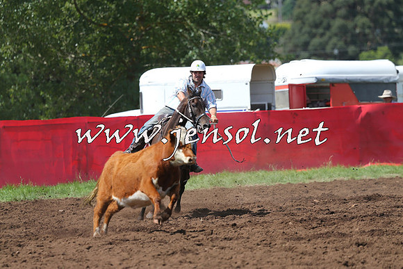 NimmitabelCampdraft2015_0244