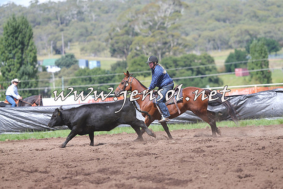 NimmitabelCampdraft2015_0288