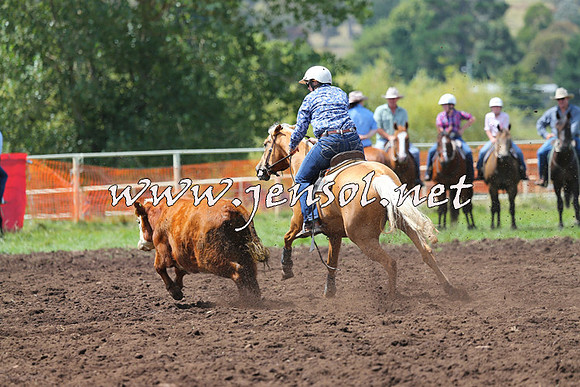NimmitabelCampdraft2015_0065