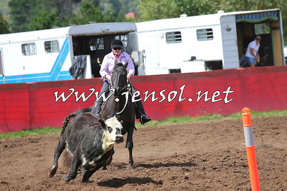 NimmitabelCampdraft2015_0271