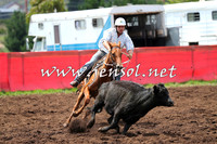 NimmitabelCampdraft2015_0043