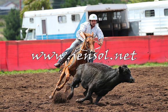 NimmitabelCampdraft2015_0043