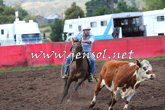 NimmitabelCampdraft2015_0151