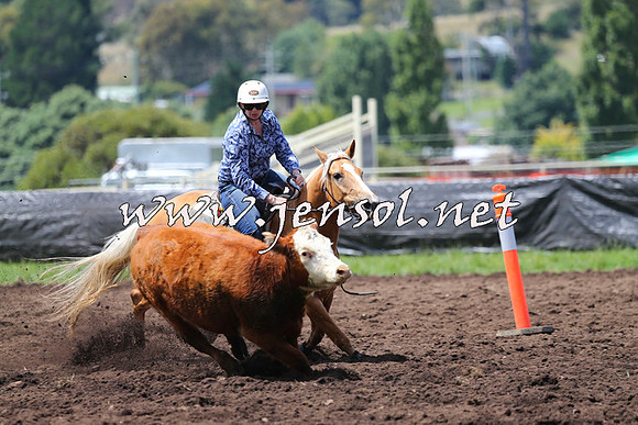 NimmitabelCampdraft2015_0079