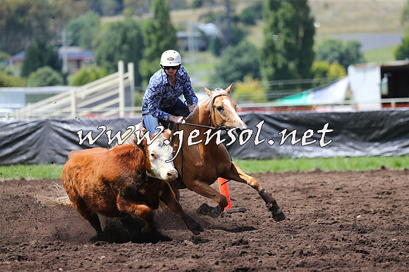 NimmitabelCampdraft2015_0077