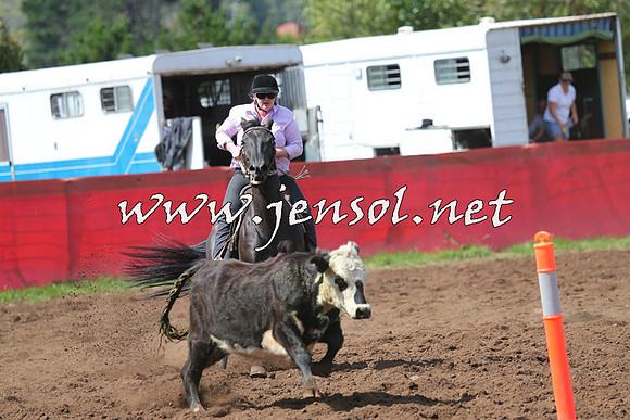 NimmitabelCampdraft2015_0269