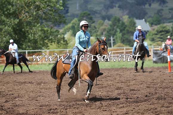 NimmitabelCampdraft2015_0268