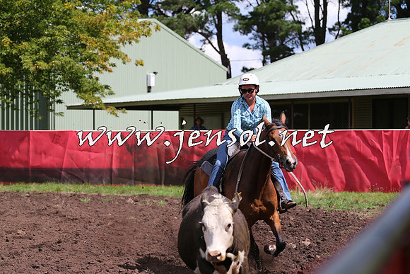 NimmitabelCampdraft2015_0254