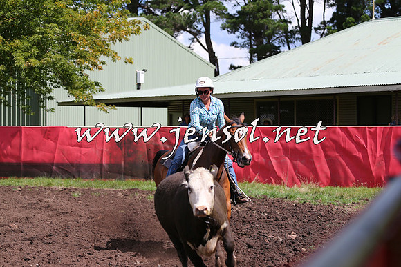 NimmitabelCampdraft2015_0257