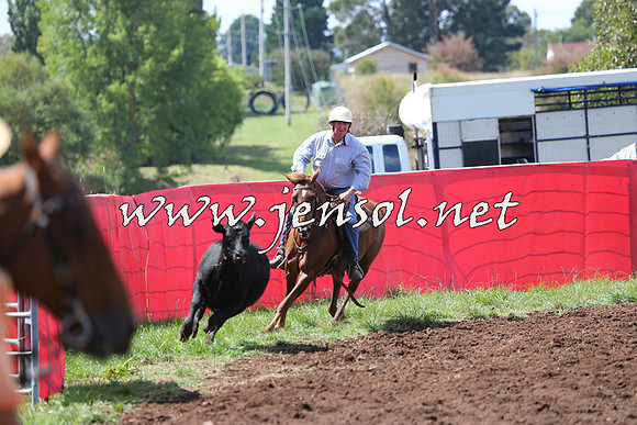 NimmitabelCampdraft2015_0230