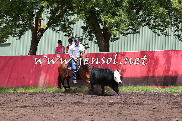 NimmitabelCampdraft2015_0088