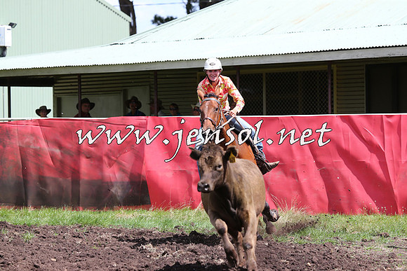 NimmitabelCampdraft2015_0211