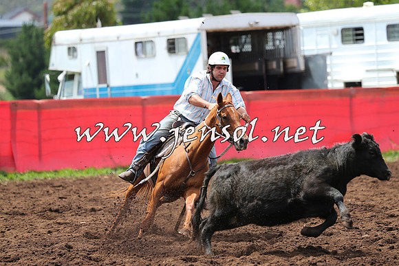 NimmitabelCampdraft2015_0041