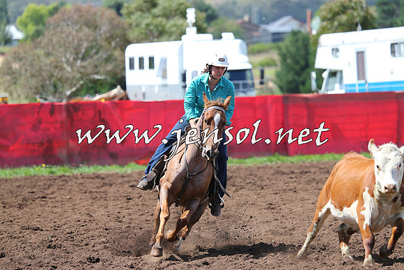 NimmitabelCampdraft2015_0215