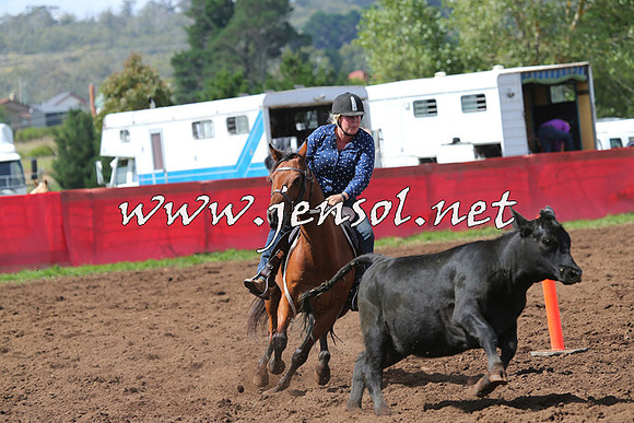 NimmitabelCampdraft2015_0273