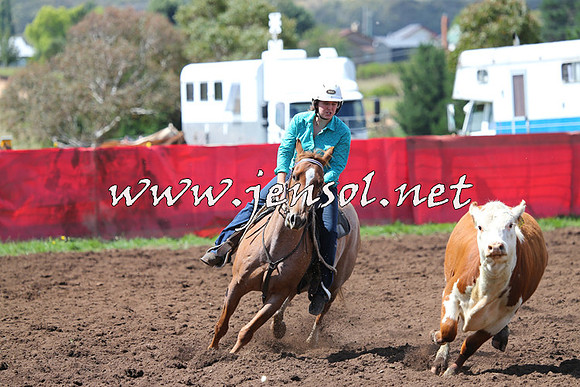 NimmitabelCampdraft2015_0219
