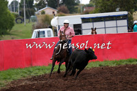 NimmitabelCampdraft2015_0033