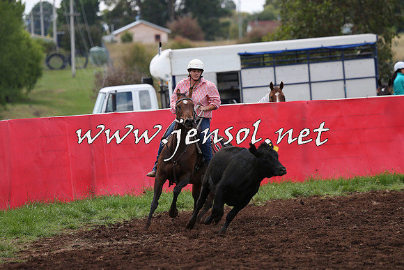 NimmitabelCampdraft2015_0033