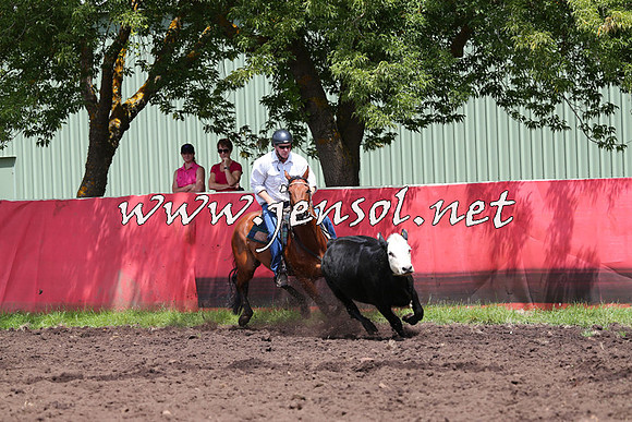 NimmitabelCampdraft2015_0086
