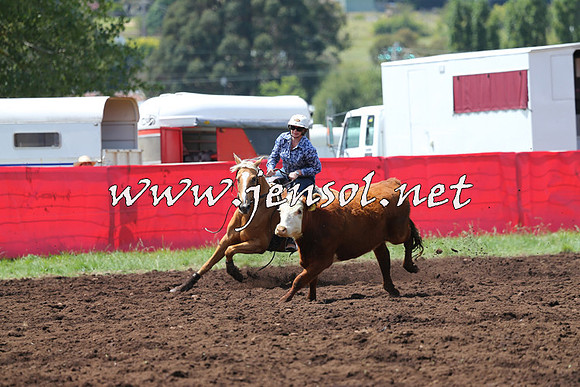 NimmitabelCampdraft2015_0074