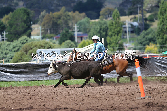 NimmitabelCampdraft2015_0259