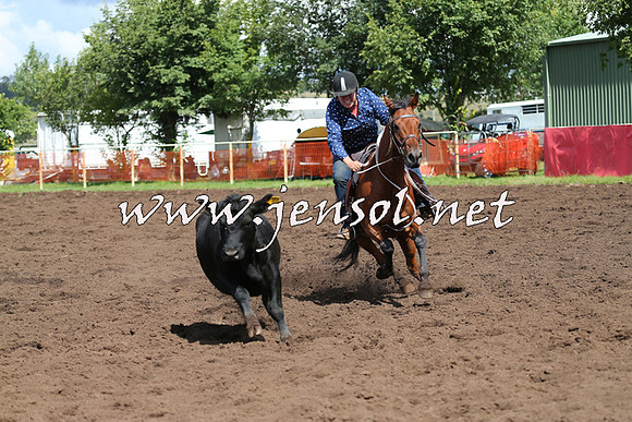 NimmitabelCampdraft2015_0284