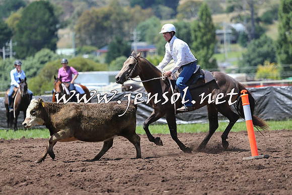 NimmitabelCampdraft2015_0119