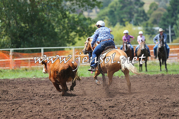 NimmitabelCampdraft2015_0067