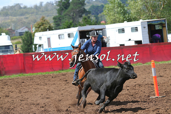 NimmitabelCampdraft2015_0274