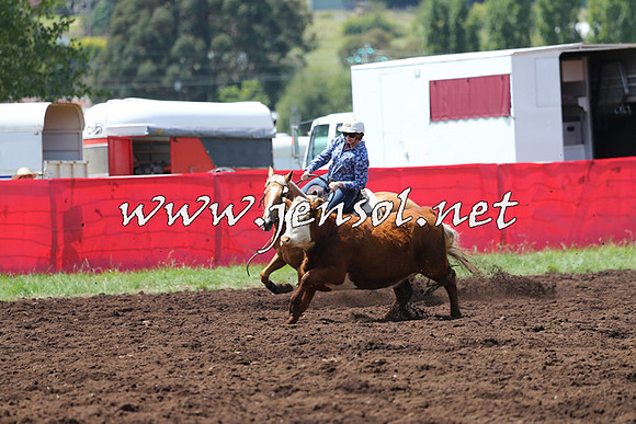 NimmitabelCampdraft2015_0072