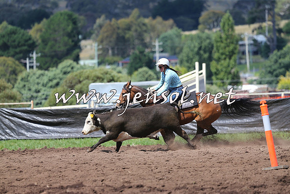 NimmitabelCampdraft2015_0258