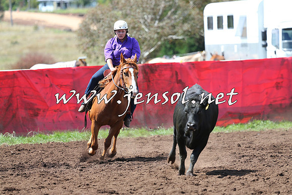 NimmitabelCampdraft2015_0202