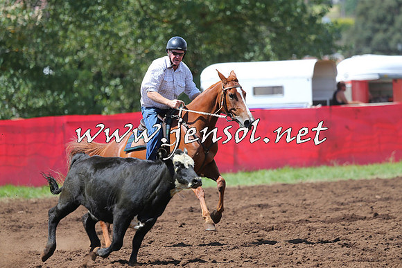 NimmitabelCampdraft2015_0172