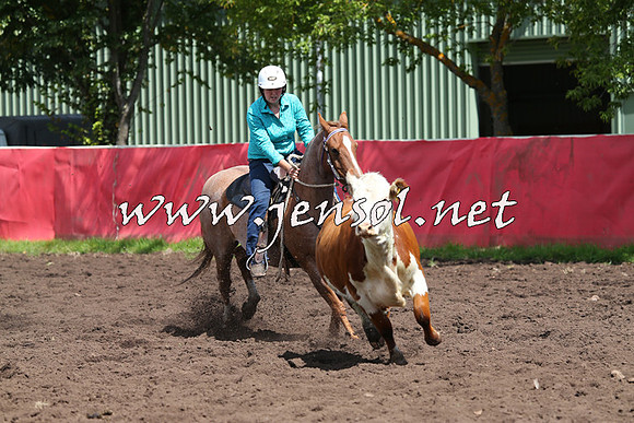 NimmitabelCampdraft2015_0221