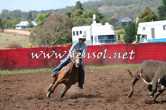 NimmitabelCampdraft2015_0249