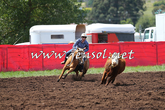 NimmitabelCampdraft2015_0071