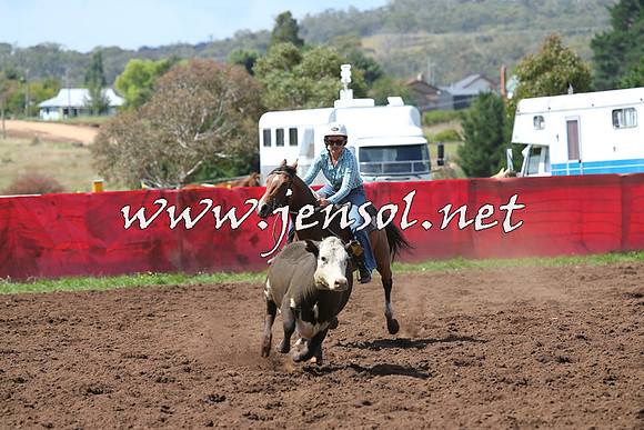 NimmitabelCampdraft2015_0248