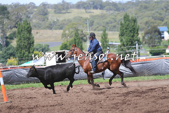 NimmitabelCampdraft2015_0296