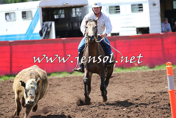 NimmitabelCampdraft2015_0108