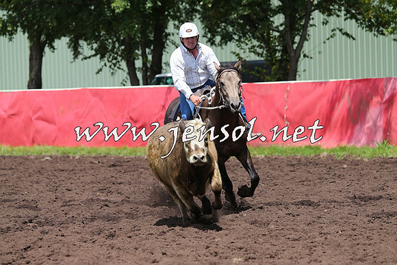 NimmitabelCampdraft2015_0116