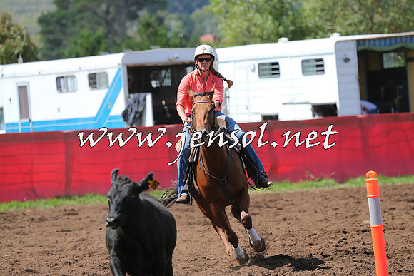 NimmitabelCampdraft2015_0235