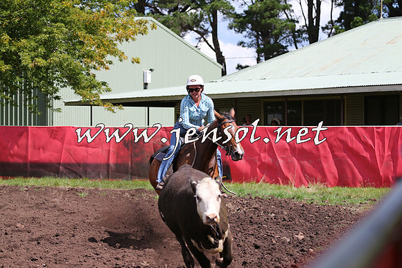 NimmitabelCampdraft2015_0256