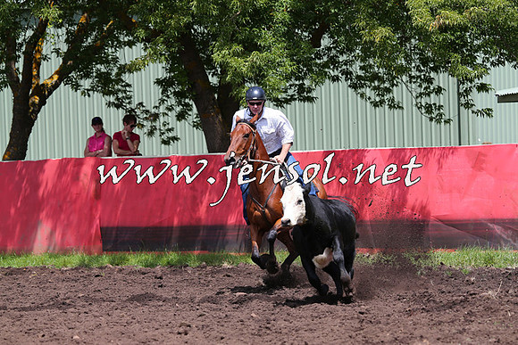 NimmitabelCampdraft2015_0092