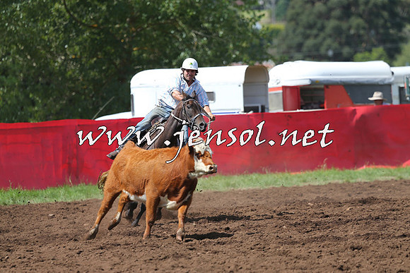 NimmitabelCampdraft2015_0245