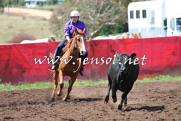 NimmitabelCampdraft2015_0199
