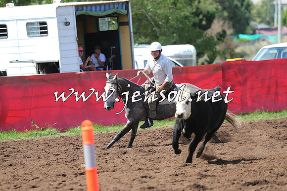 NimmitabelCampdraft2015_0237
